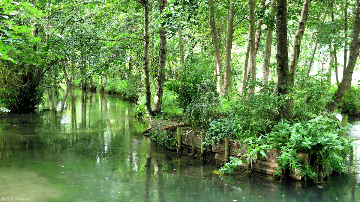 Criel sur Mer (l'Yères)