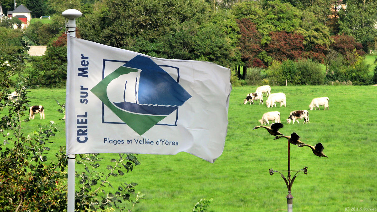Criel sur Mer (Drapeau)