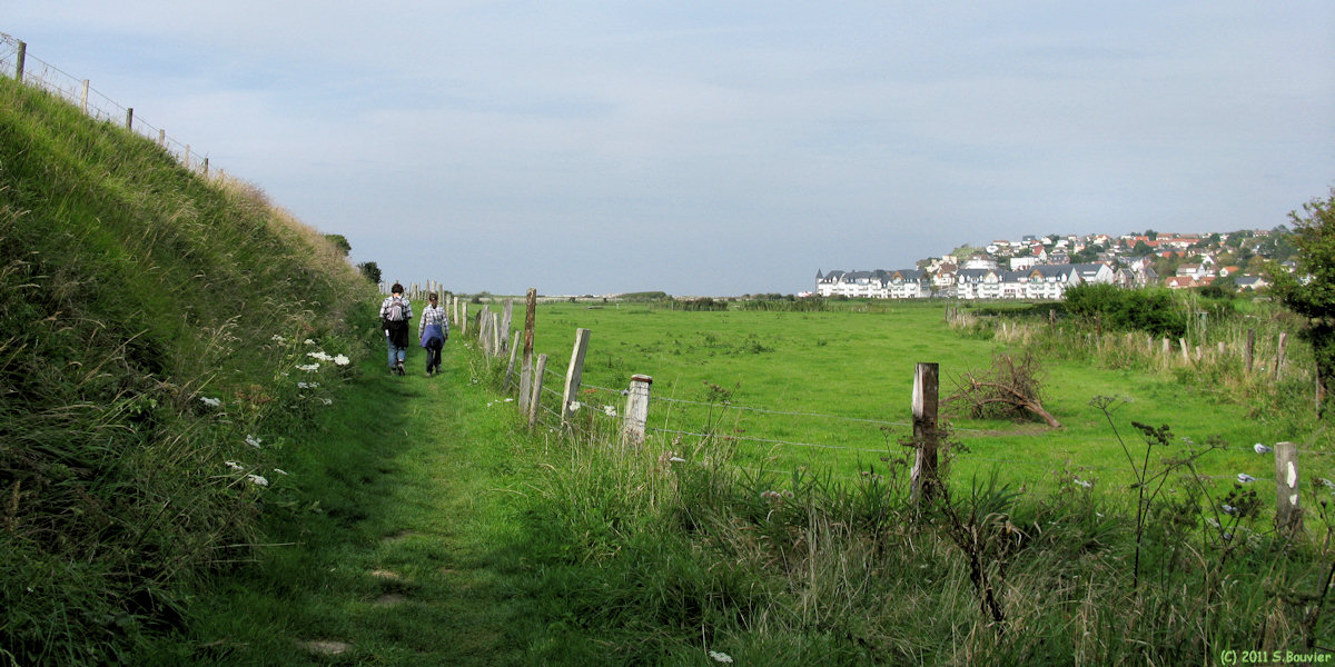 Criel sur Mer (Chemin)