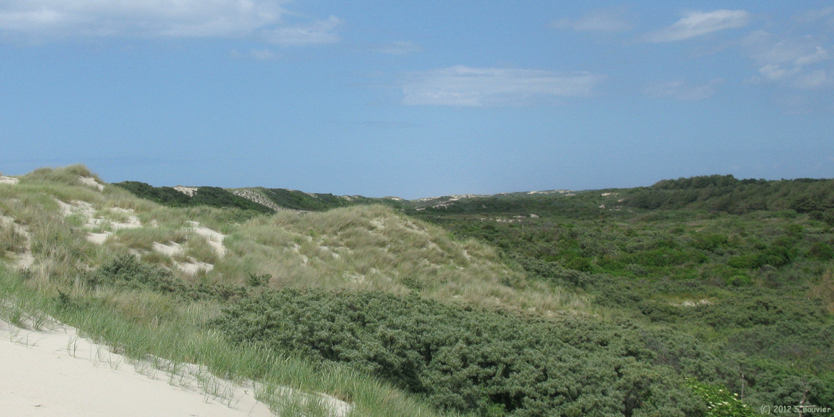 St Quentin en Tourmont (Dunes 1)