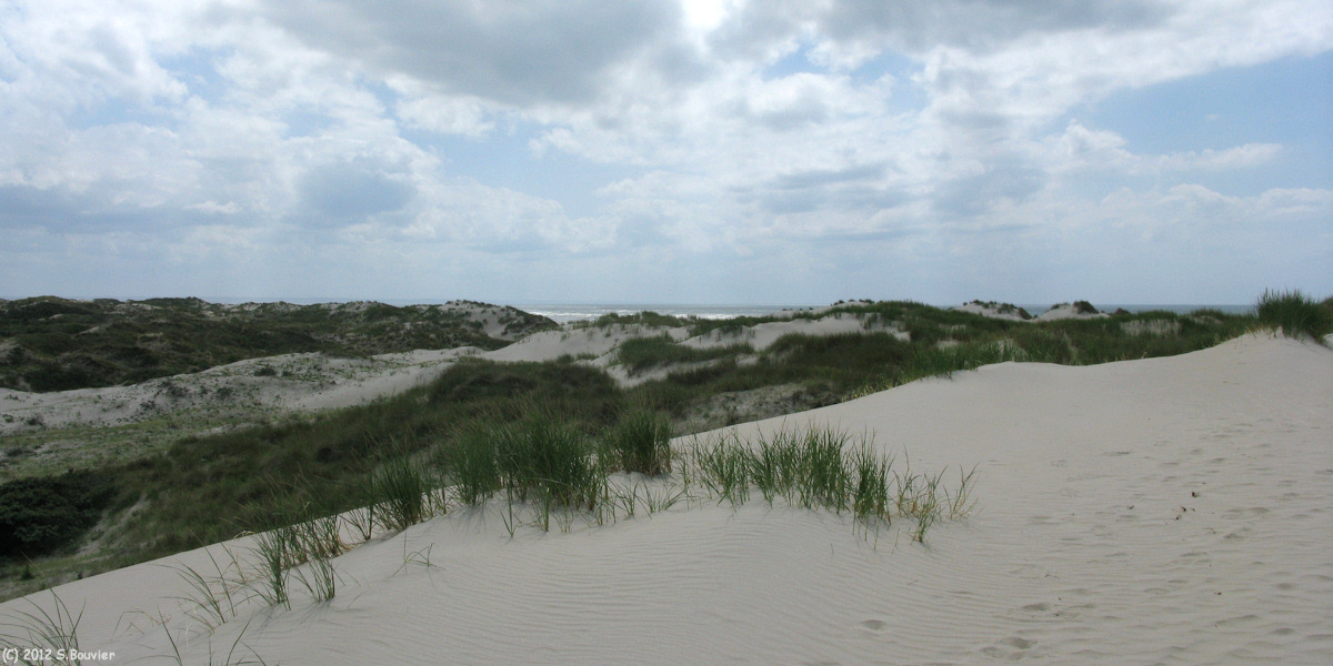 St Quentin en Tourmont (Dunes 2)