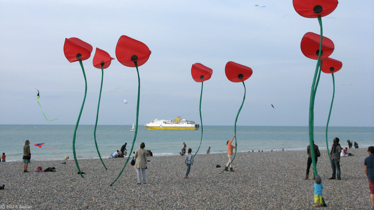 Dieppe (Coquelicots)