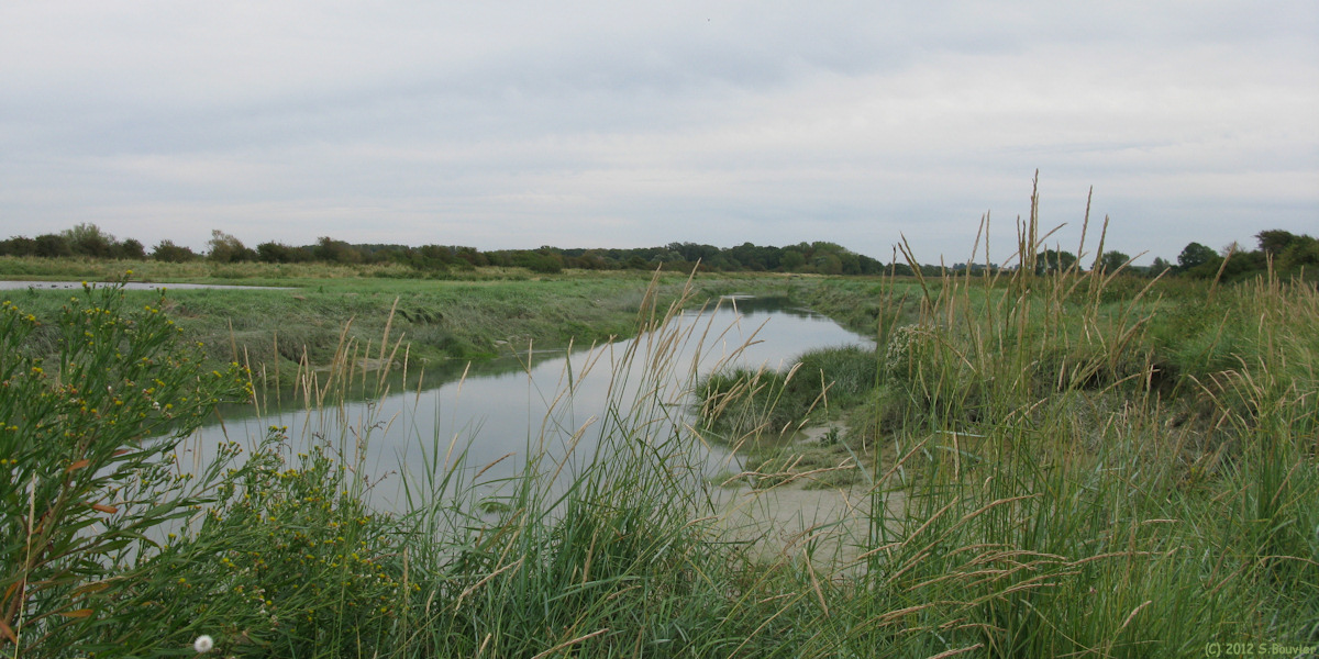 Quend (l'Authie)