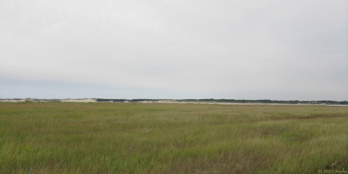 Fort-Mahon-Plage (Baie)