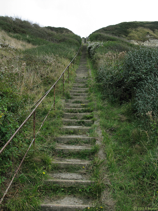 Octeville sur Mer (Escalier)