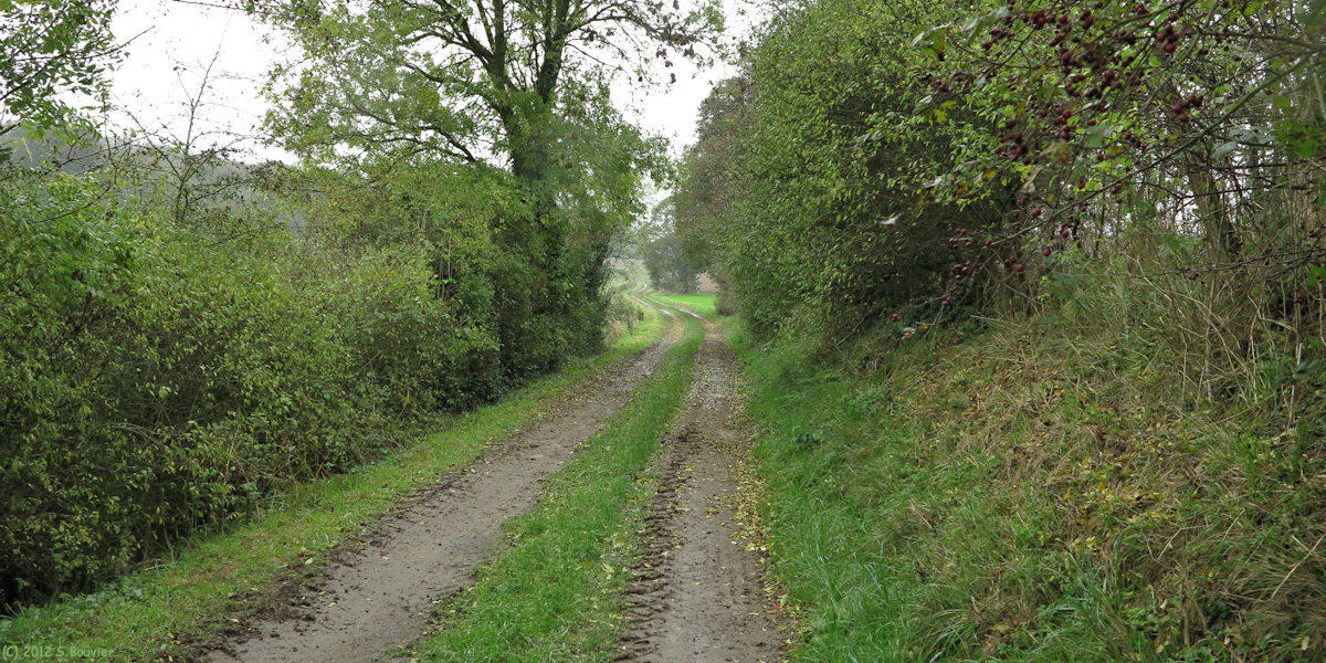 Crécy en Ponthieu (Chemin 1)