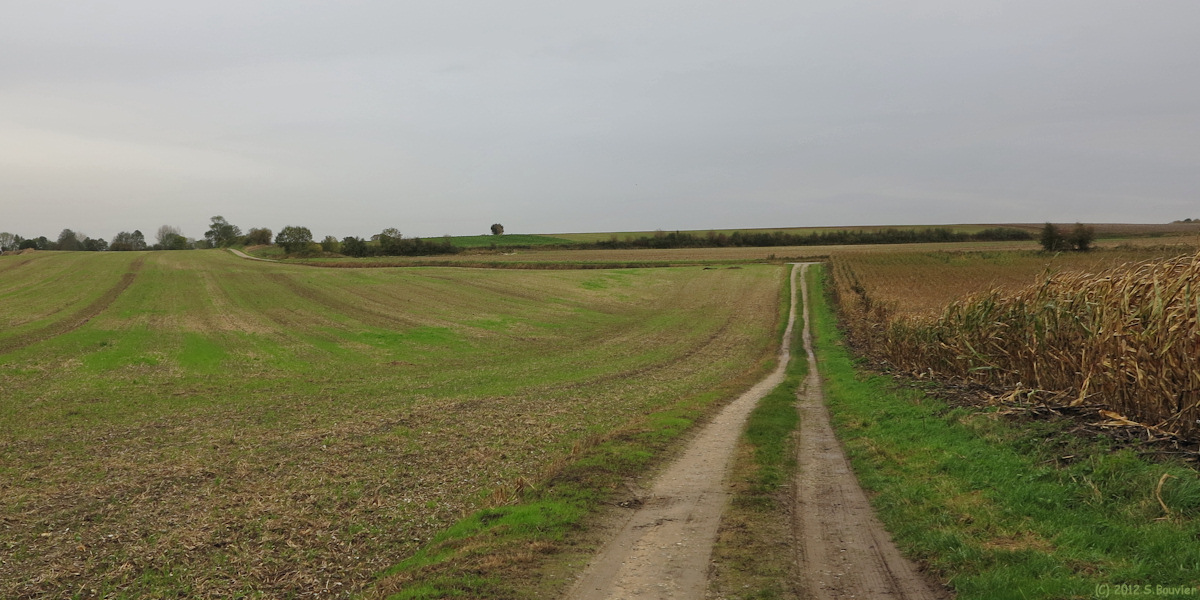 Crécy en Ponthieu (Chemin 2)