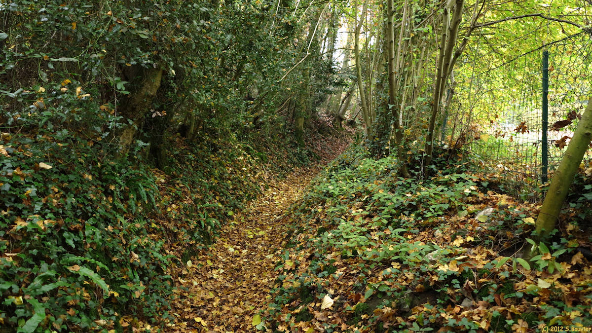 Villequier (Sentier 1)