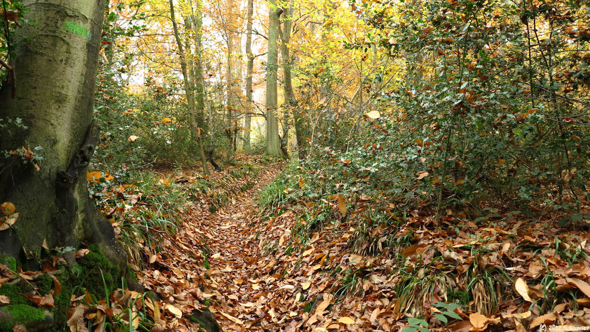 Villequier (Sentier 2)