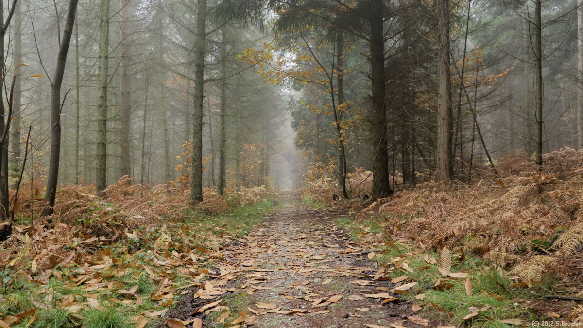 Villequier (Chemin 2)