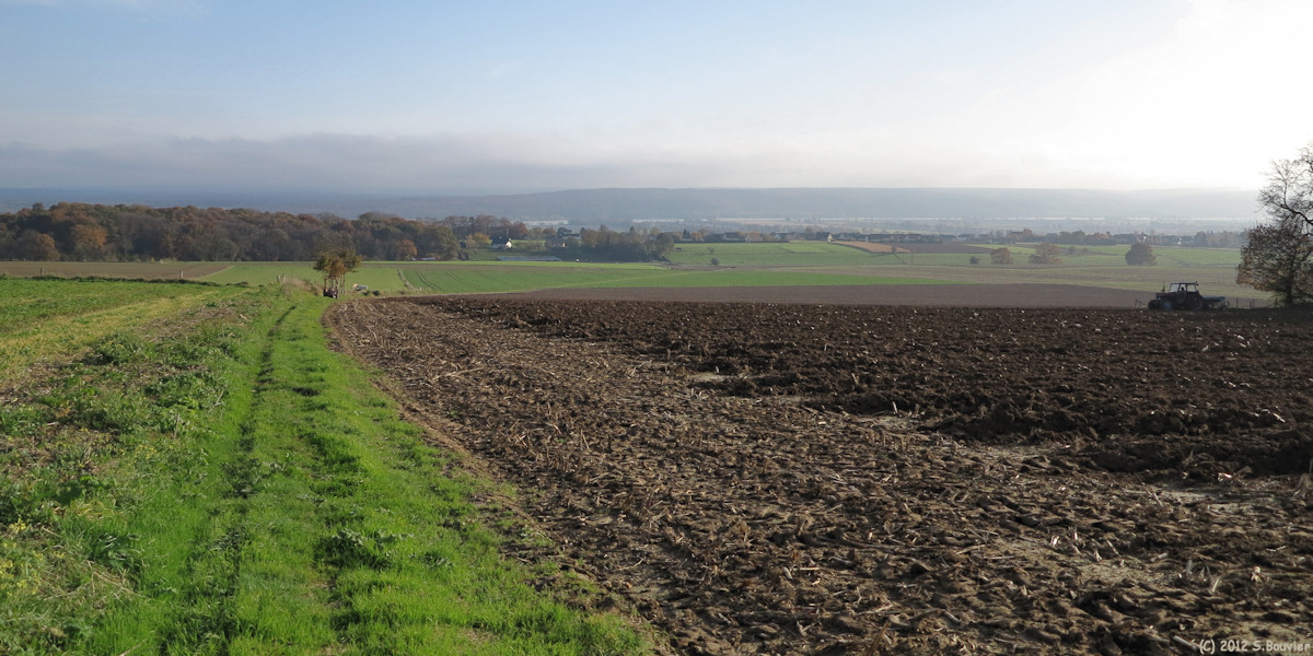 Norville (Chemin)
