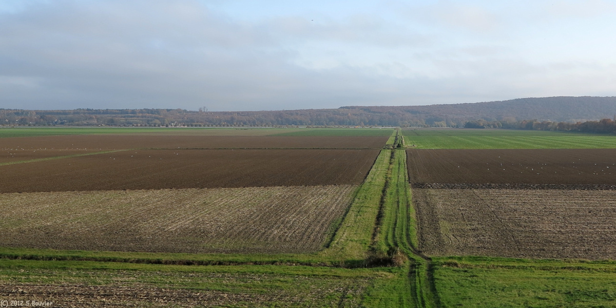 Norville (Marais 1)