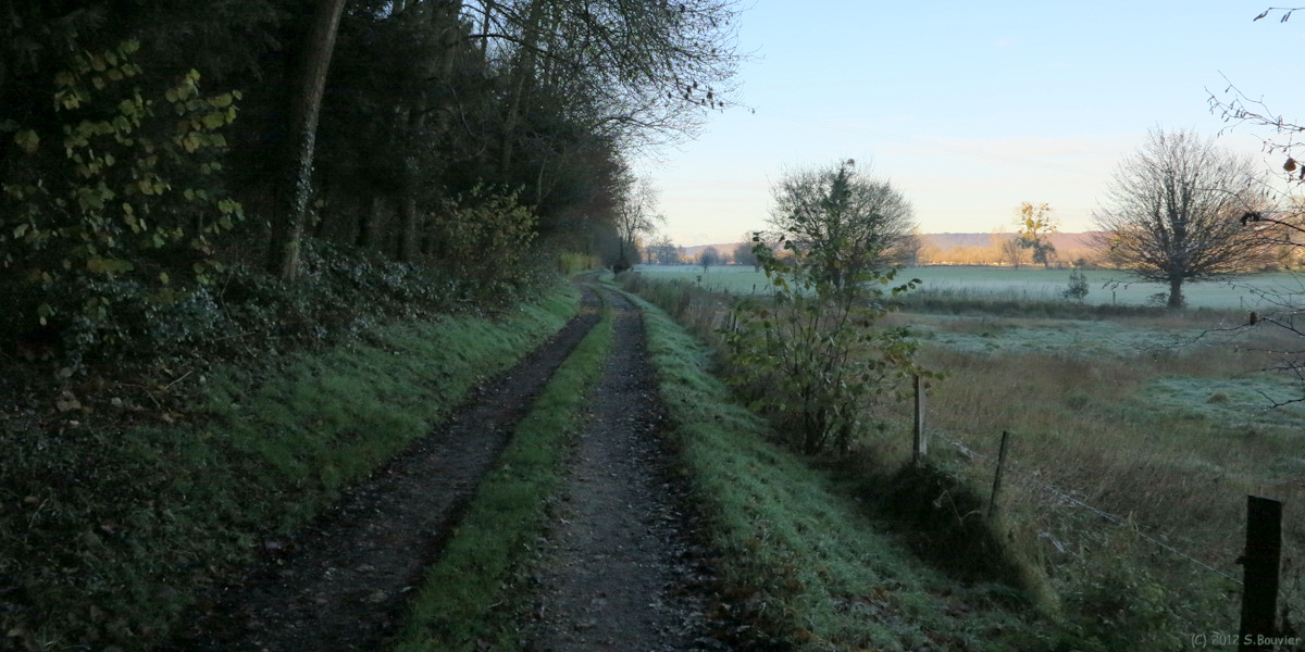 La Mailleraye sur Seine (Chemin)