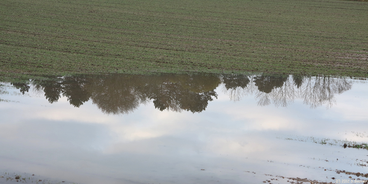 Notre Dame de Bliquetuit (Reflets 1)