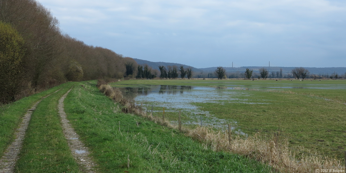 Vatteville la Rue (Chemin)