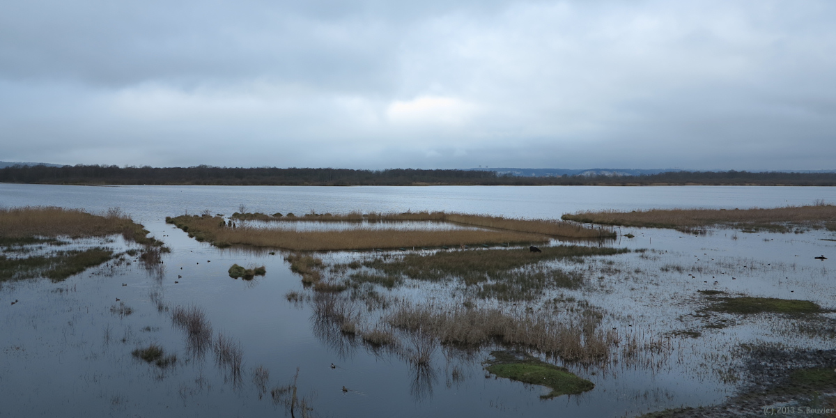 Sainte Opportune la Mare (Grand' Mare 1)