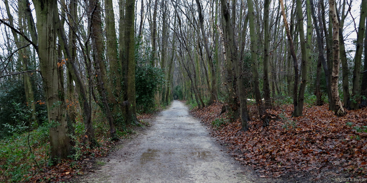 Montivilliers (Chemin)