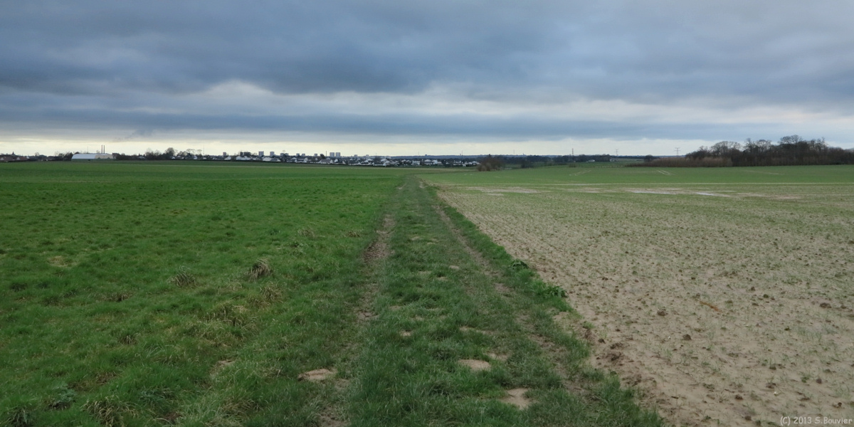 Saint Laurent de Brèvedent (Chemin)