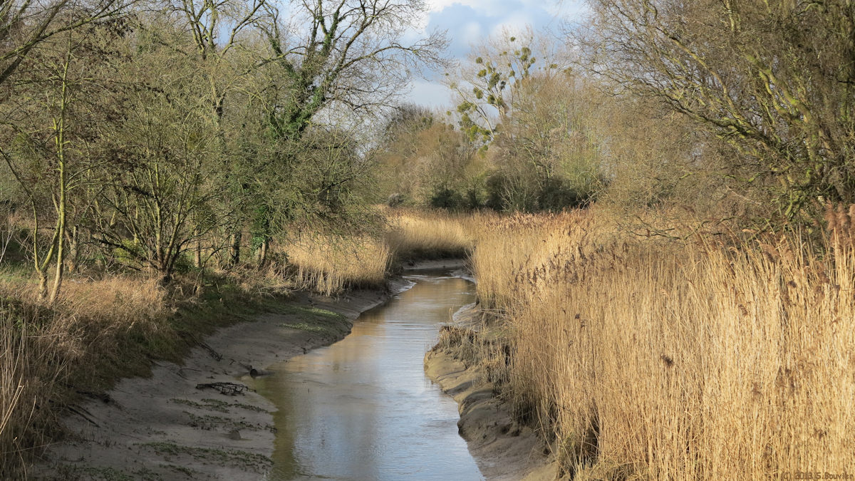 Berville sur Mer (Canal 2)