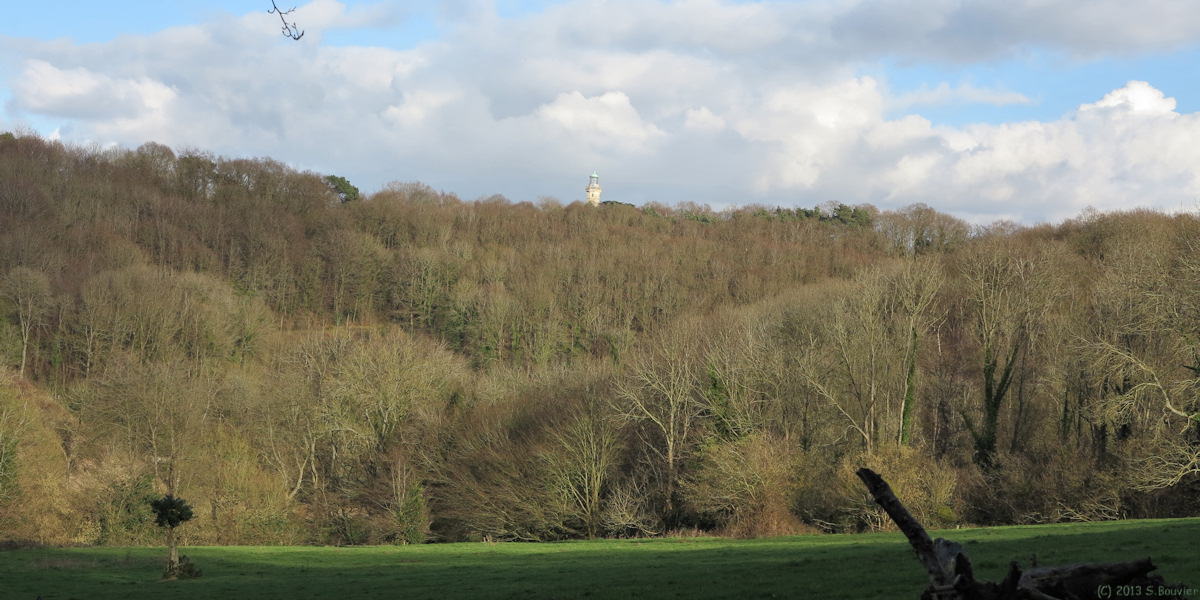 Fatouville-Grestain (Bois)