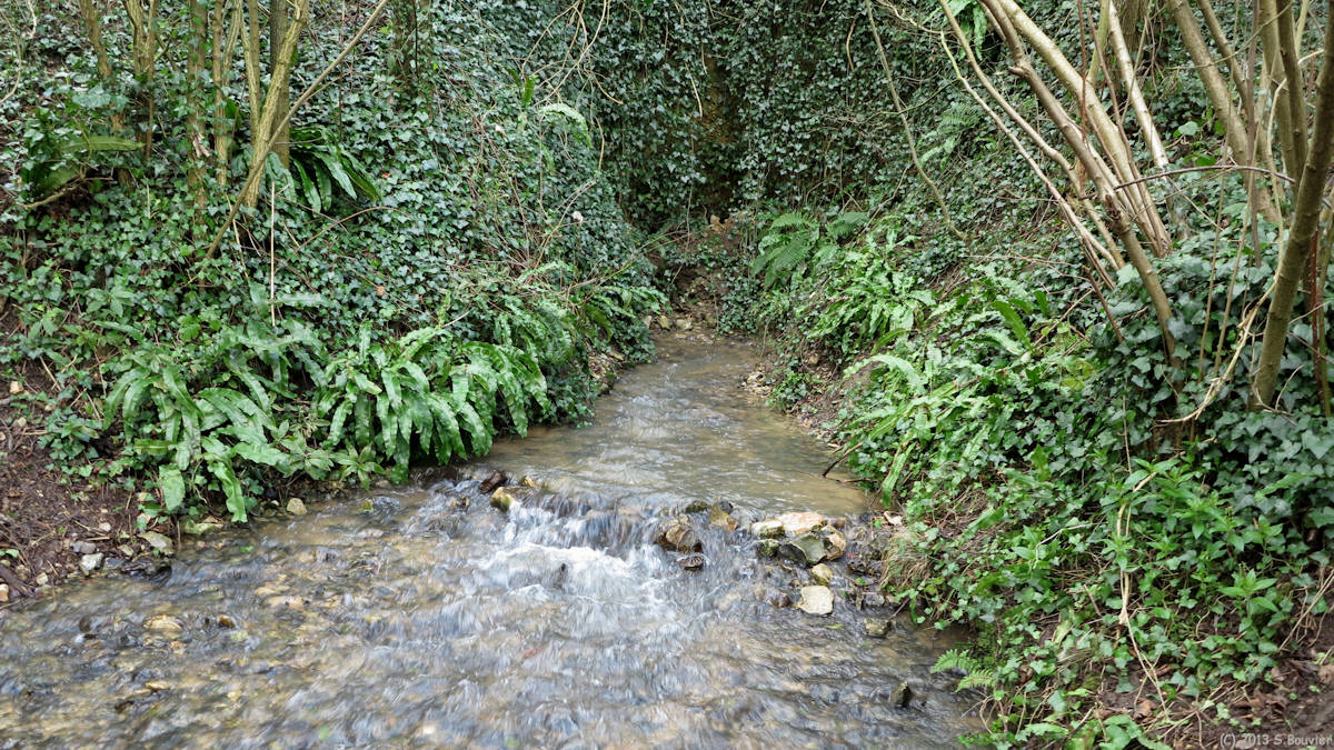 Fatouville-Grestain (Source)