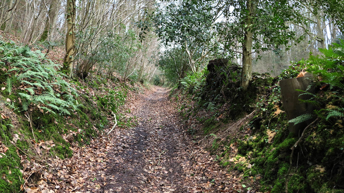 Fatouville-Grestain (Chemin 1)