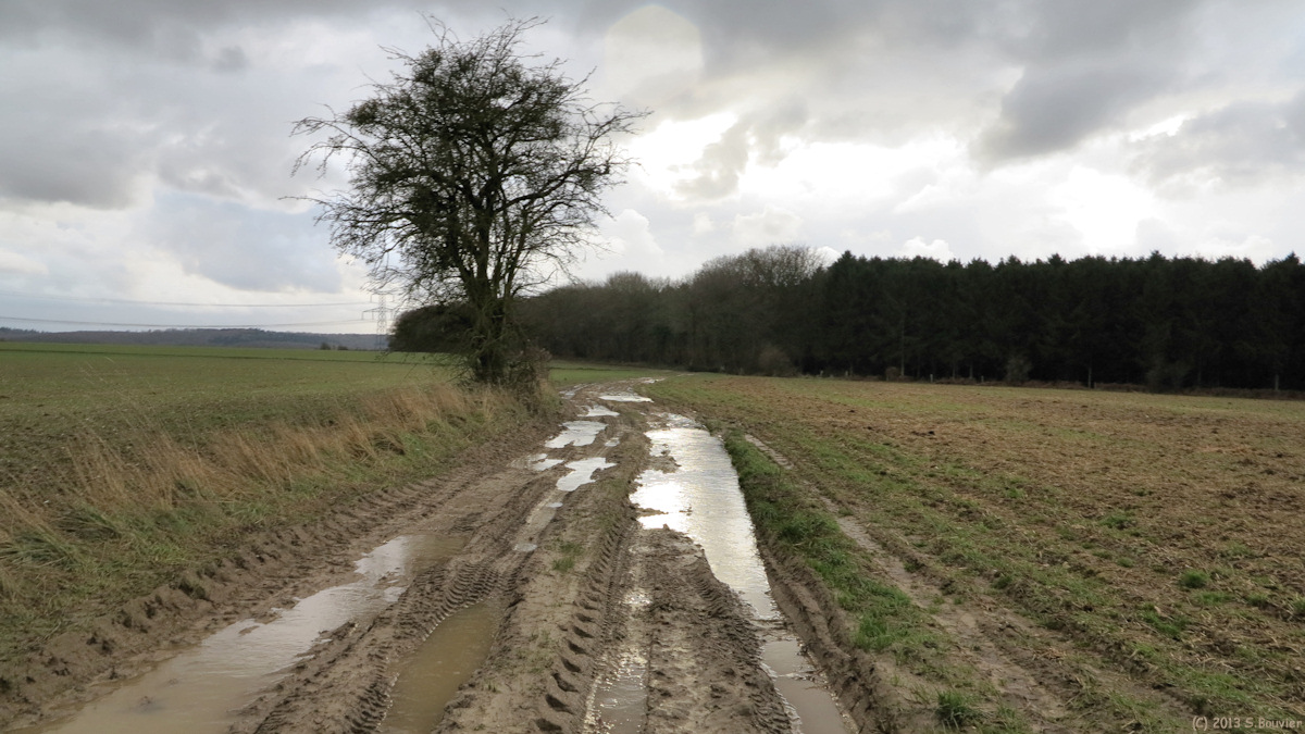 Méneslies (Chemin)