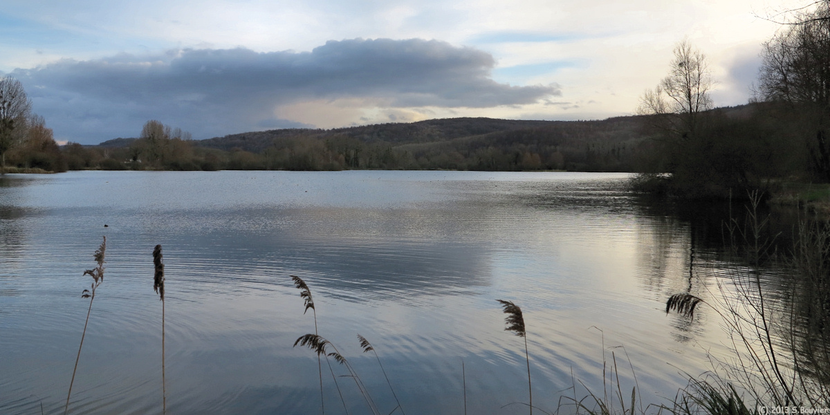 Bouvaincourt sur Bresle (Etang)