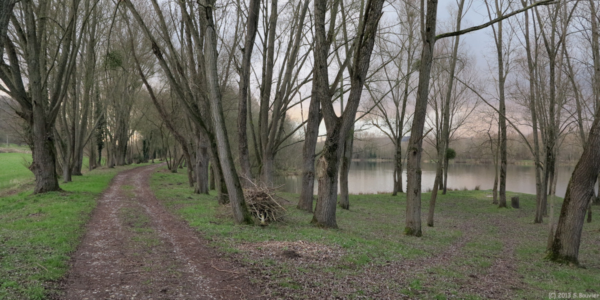 Ponts et Marais (Etang)
