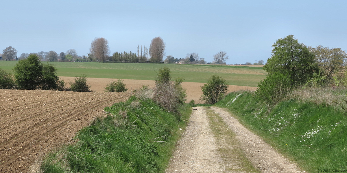 Monchy sur Eu (Mont à Cailleux 1)