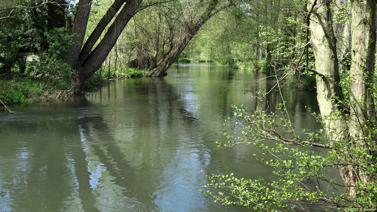 Bouvaincourt sur Bresle (Bresle)