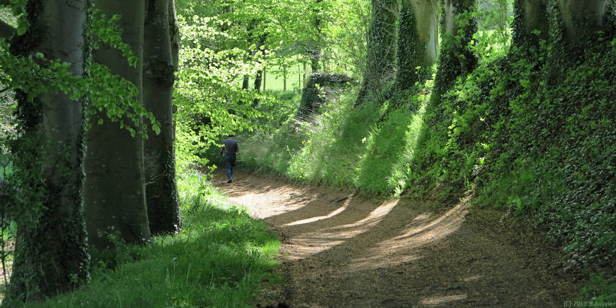 Ancourt (Chemin 1)