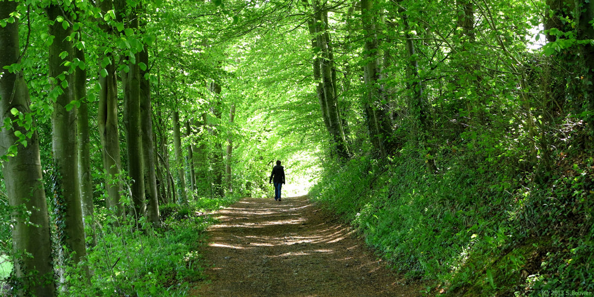 Ancourt (Chemin 2)