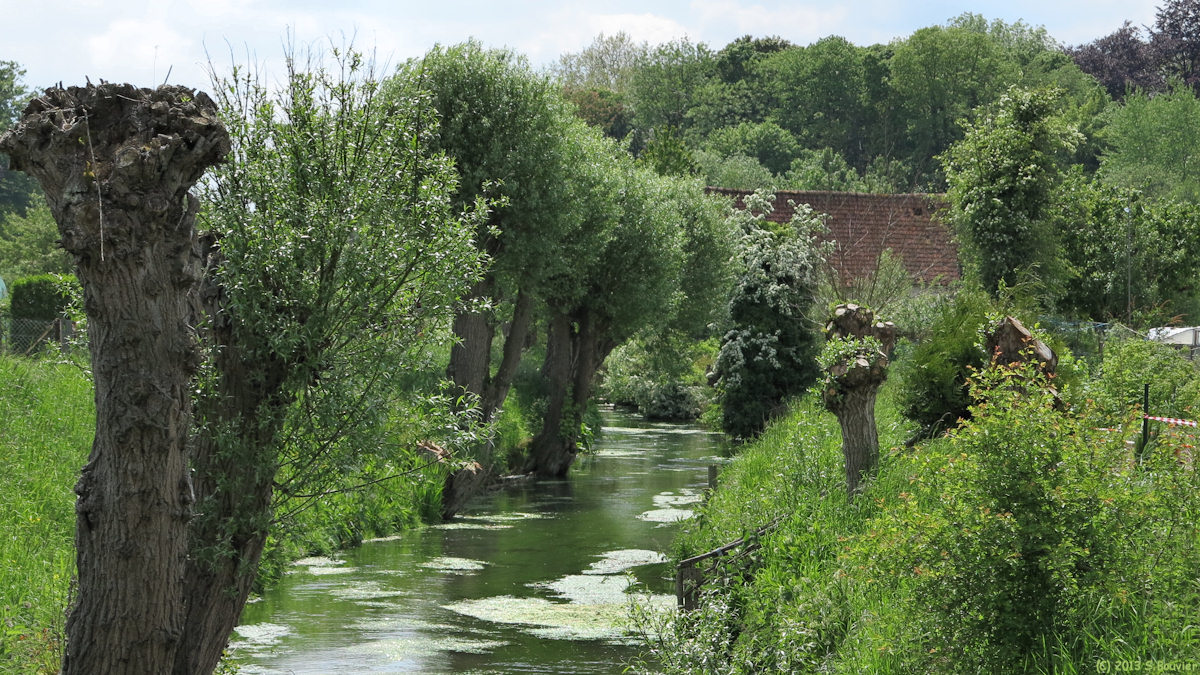 Abbeville (Scardon)
