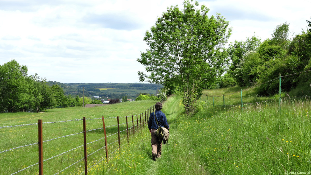 Longroy (Chemin)