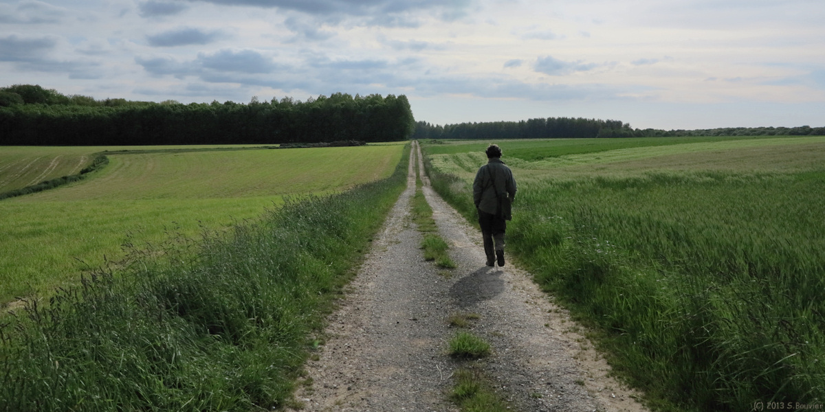 Dargnies (Chemin)