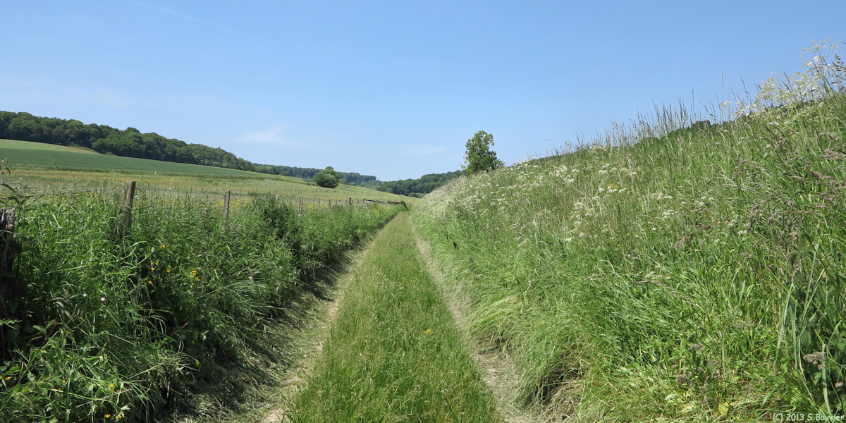 Neuf-Marché (Chemin)