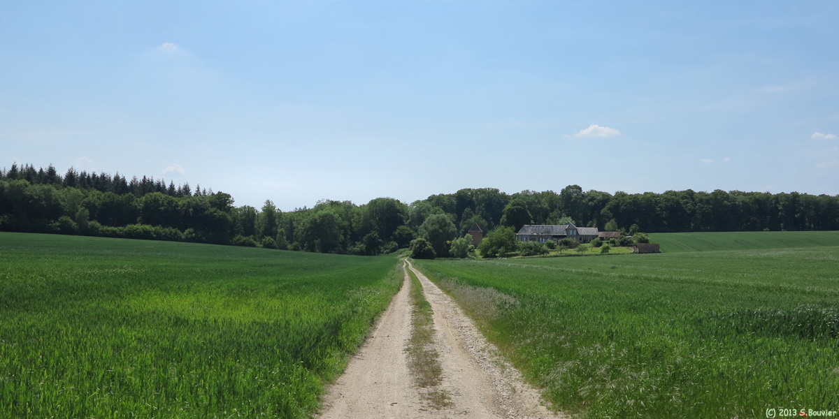 Montroty (La Haye)