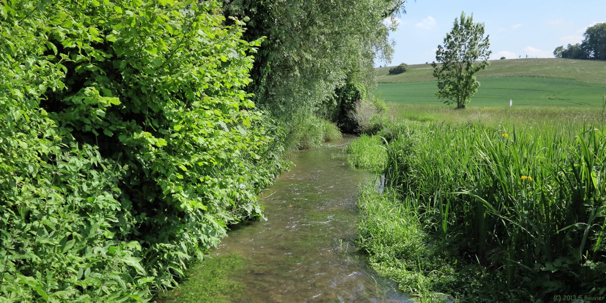 Martagny (La Lévrière)