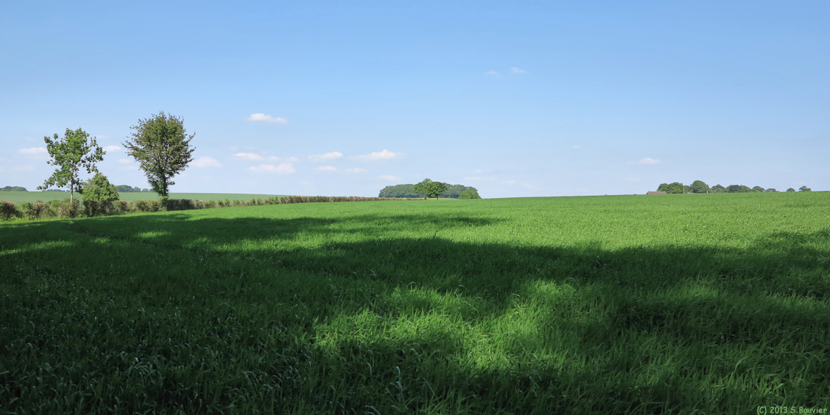 Mesnil sous Vienne (vers les Cailletots)