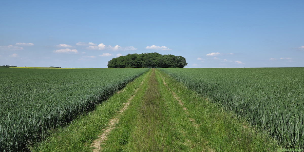 Mesnil sous Vienne (Chemin)