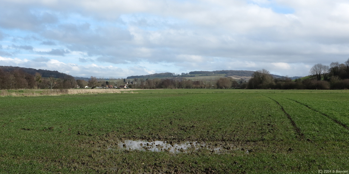 Saint Aubin le Cauf (Village)