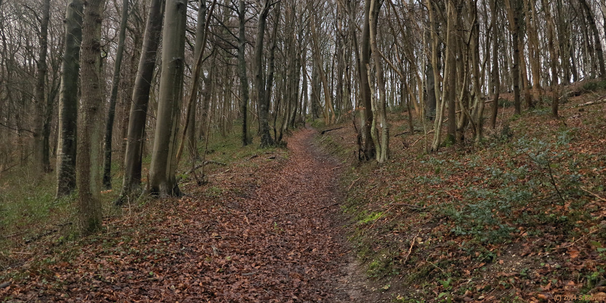 Ricarville du Val (Bois Dimont)
