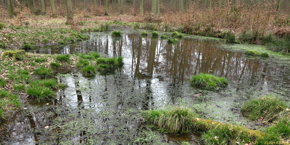Quevillon (Reflets)