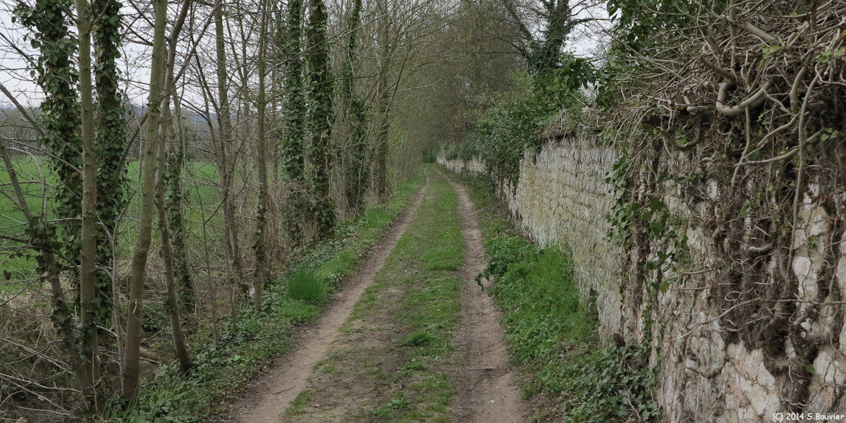 Hautot sur Seine (Chemin)