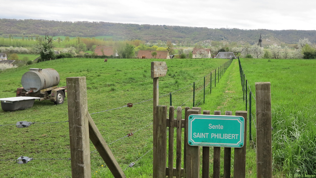 Le Mesnil sous Jumièges (Sente 1)