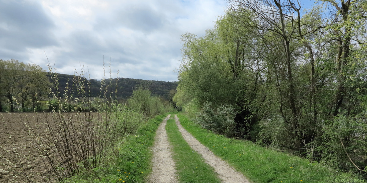Yville sur Seine (Chemin)