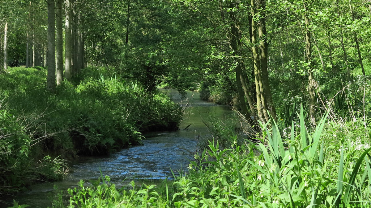 Val de Saâne (Saâne)