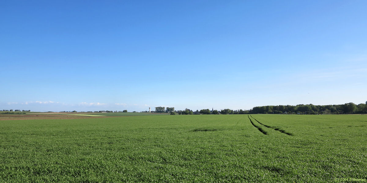 Sassetot le Malgardé (Plaine)