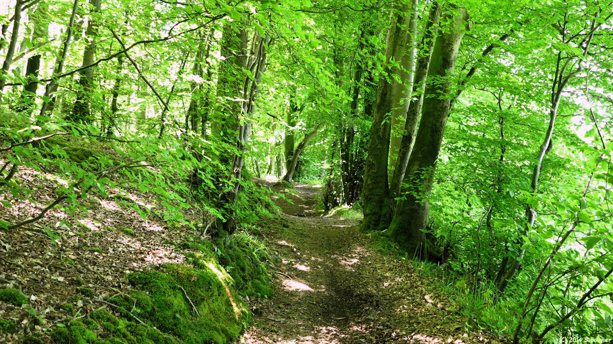 Héricourt en Caux (Chemin 1)